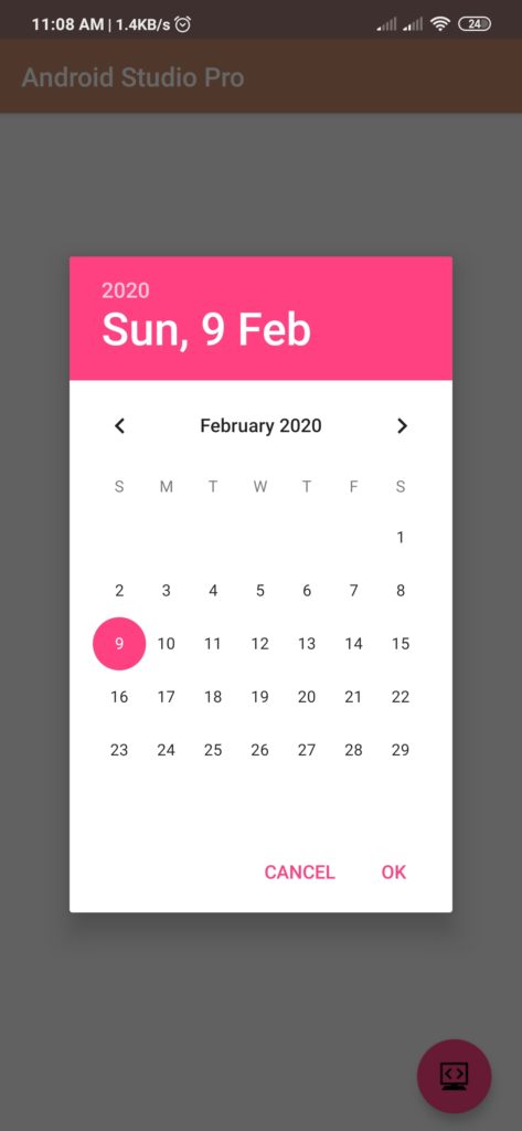 Date Picker Example